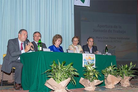 Fotografías II Congreso FETAVE 2014 - Jornada de trabajo